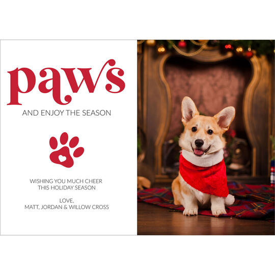 Paws and Enjoy the Season Flat Photo Cards